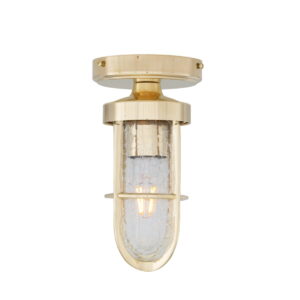 Oregon A Cage Well Glass Flush Ceiling Light IP65 Bulkhead Lights Fisherman's Lights UK