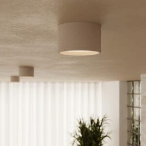 Modo 1 Taupe Ceiling Light