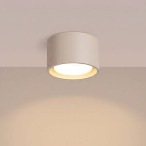 Modo 1 Taupe Ceiling Light