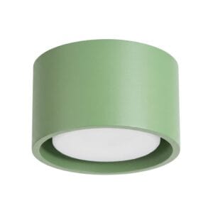 Modo 1 Sage Ceiling Light