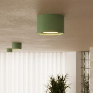 Modo 1 Sage Ceiling Light