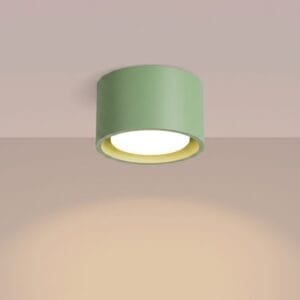 Modo 1 Sage Ceiling Light