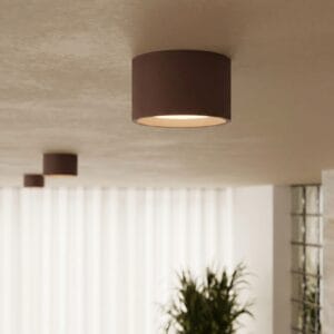 Modo 1 Brown Ceiling Light
