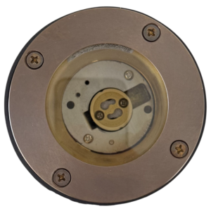 Bertha Ground Light Up Light