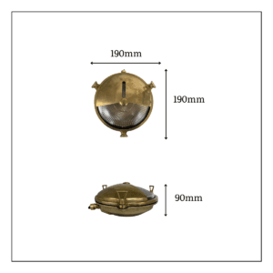 Trident Shield Solid Brass Bulkhead Light